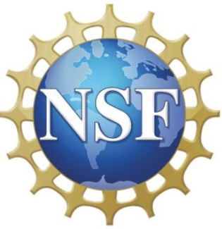 National Science Foundation